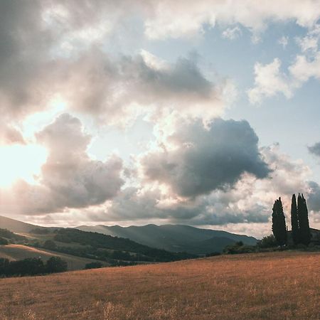 Il Cantuccio Di Monteverdi Marittimo, Borgo Di Canneto Canneto  Buitenkant foto